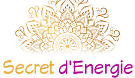 Logo-Secret-d'Energie